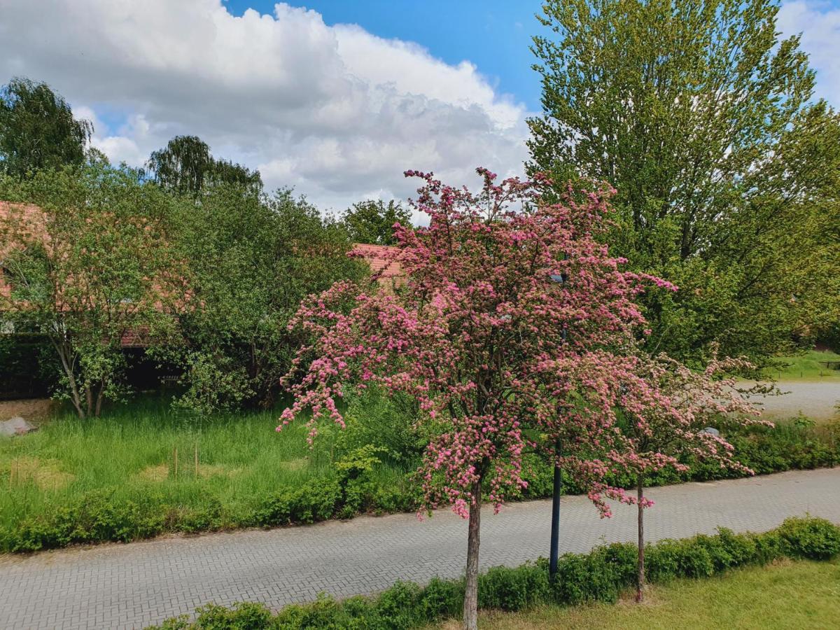 Ferienhaus Hase Villa Burg  Bagian luar foto