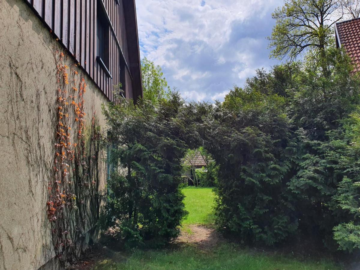 Ferienhaus Hase Villa Burg  Bagian luar foto
